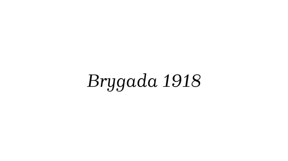 Brygada 1918 — preview 1