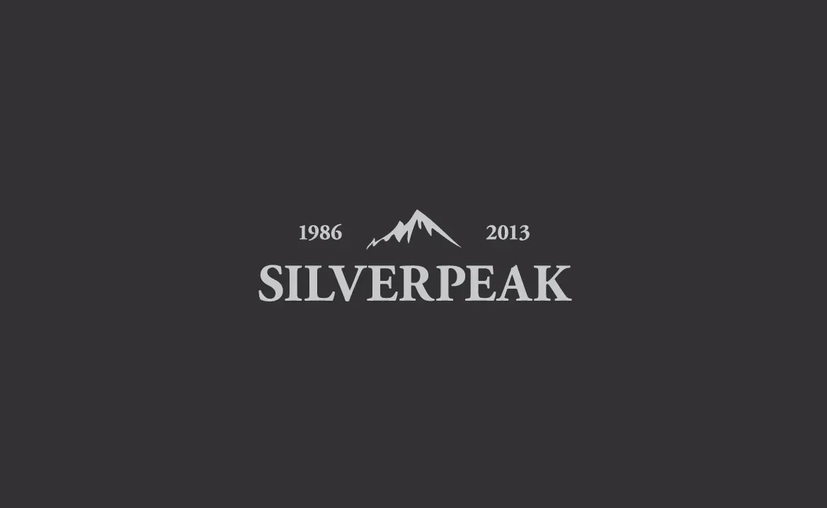 Silverpeak Stationery Set Invoice — preview 1