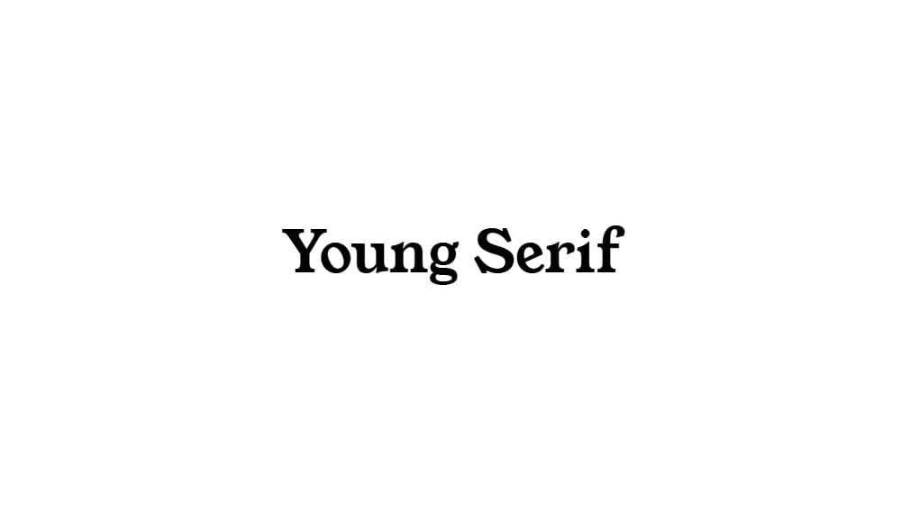 Young Serif — preview 1