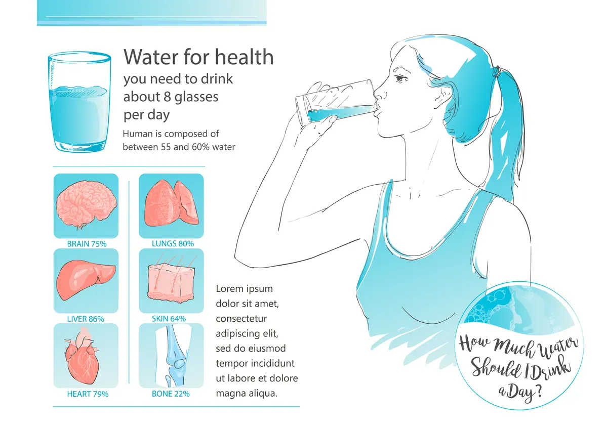 Woman Drinking Infographic — preview 1