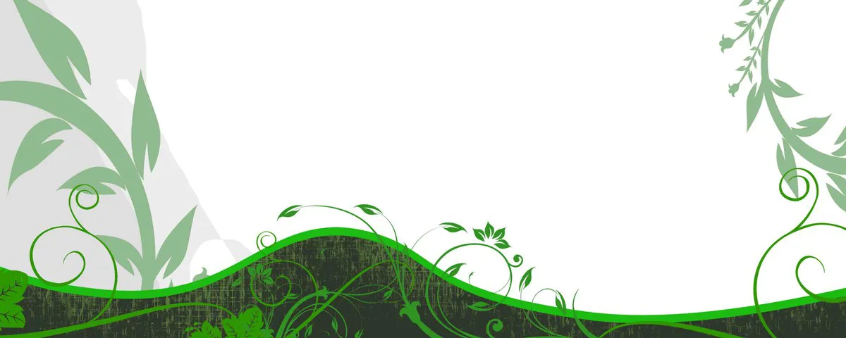 Kyoto Zen Garden Stone Pagoda Bridal Backdrop - Concept Beta — preview 1
