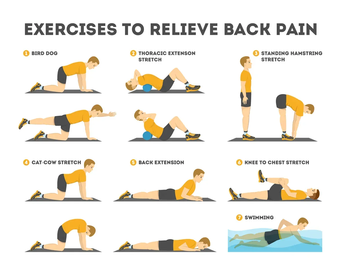 Exercise Relieve Infographic — preview 1