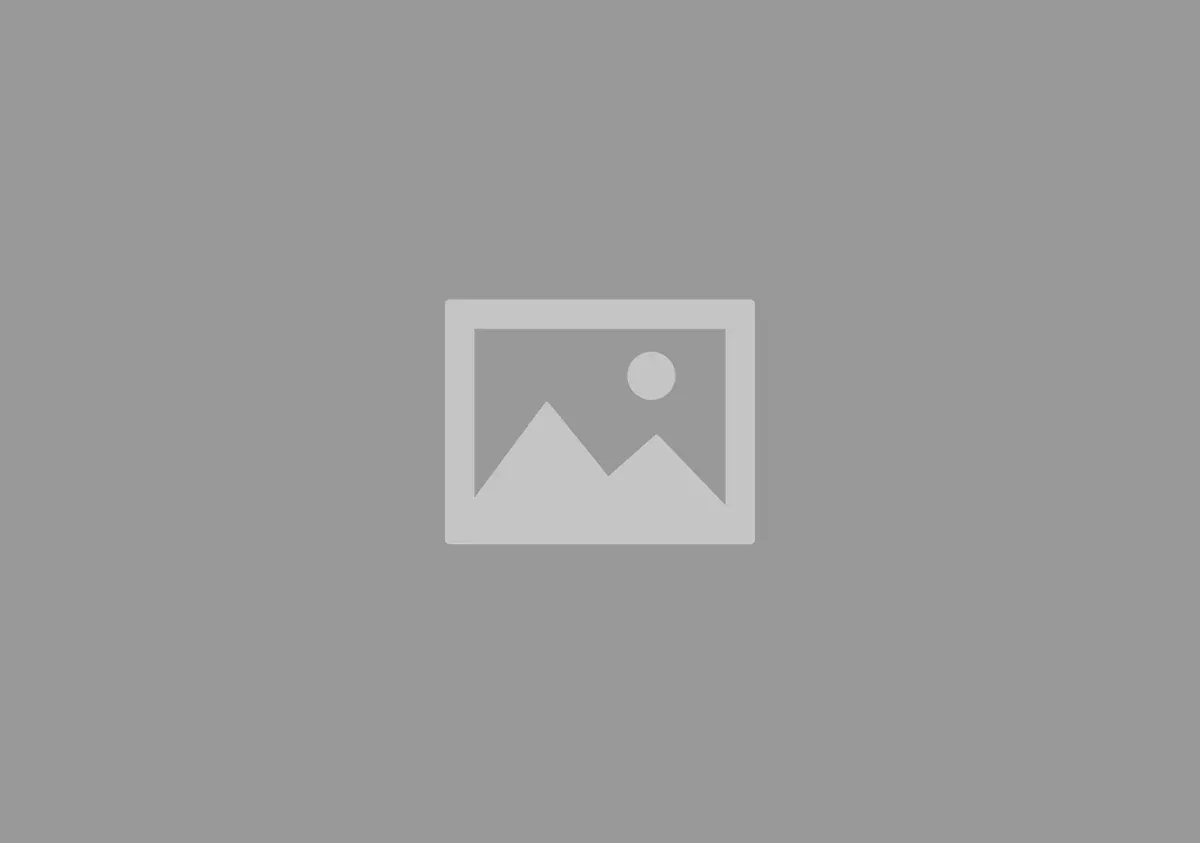 Onodera Company Profile Template — preview 1