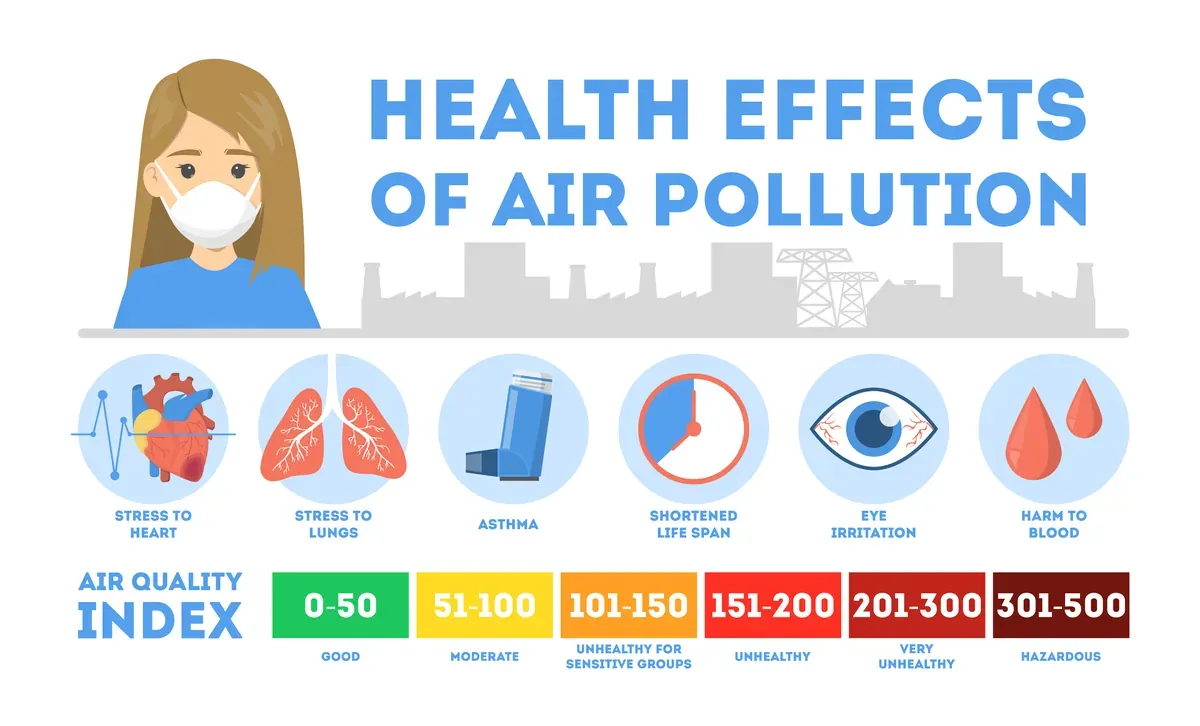 Air Pollution Effects — preview 1