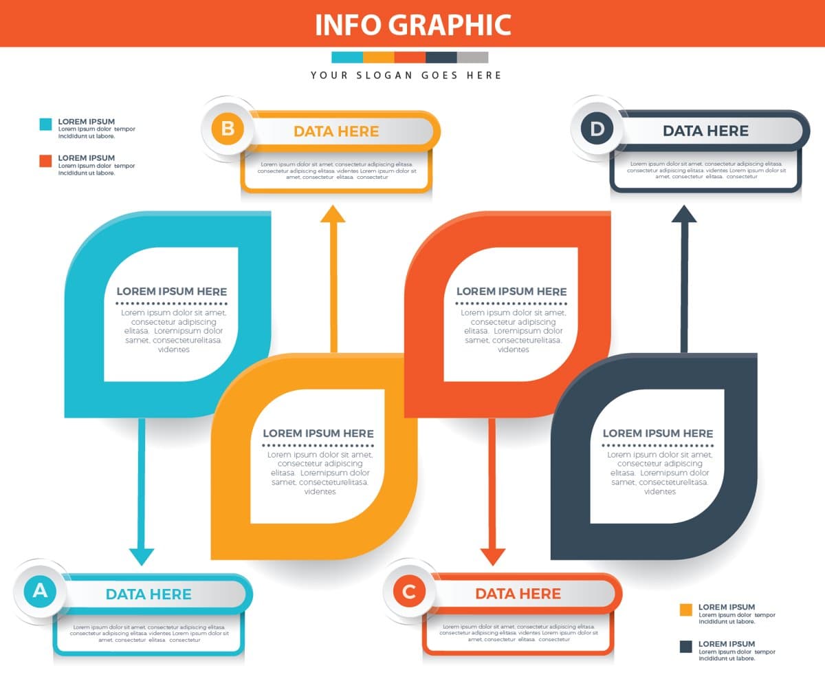 113 Infographic — preview 1