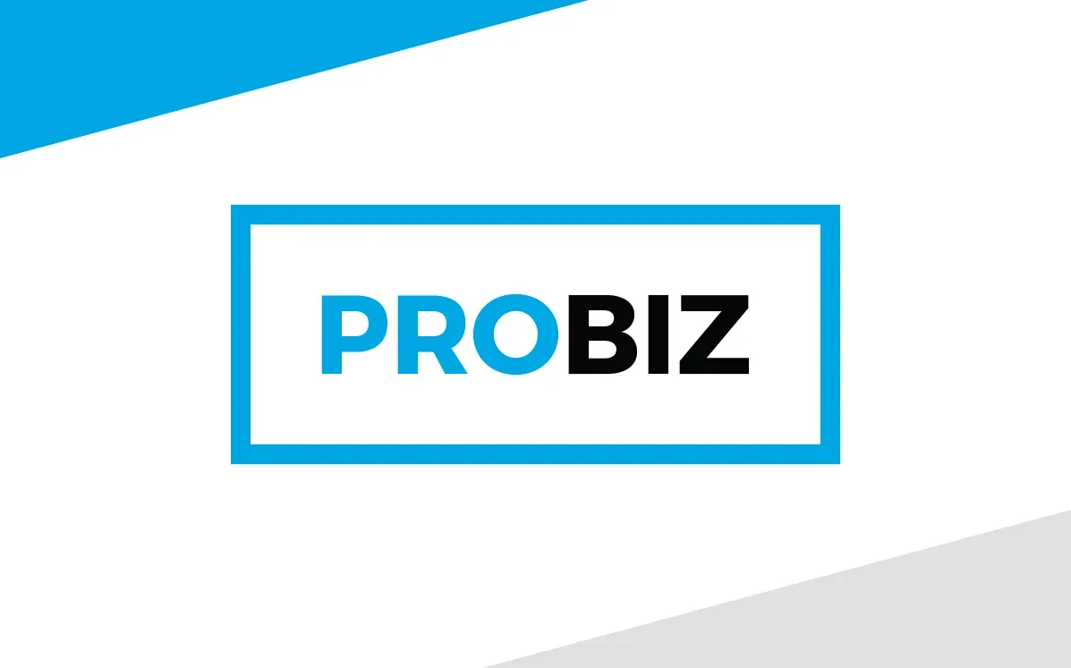 Probiz Stationery Elements — preview 1