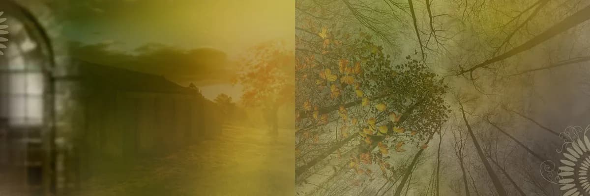 Dreamy Warm Golden Fairy Light Bokeh Studio Setting with Floating Candles in Glass Cylinders & Soft Glow — preview 1