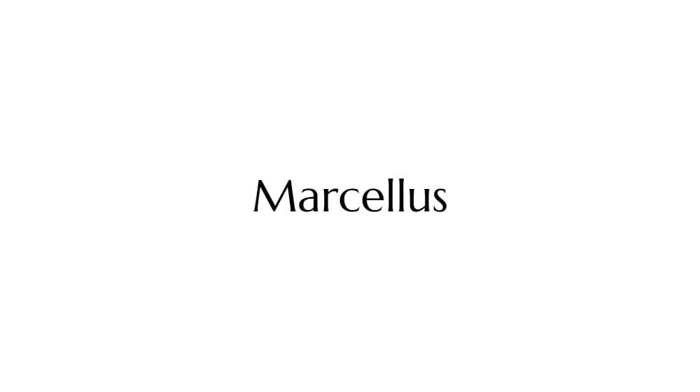 Marcellus — preview 1
