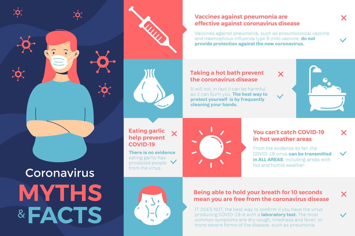 Healthcare Myths vs. Facts Educational Infographic — preview 1