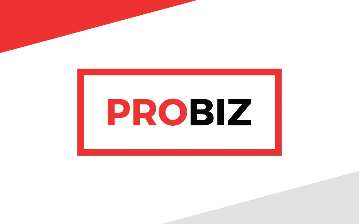 Probiz Stationery Elements - Business Card A — preview 1