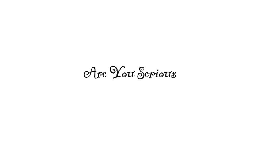 Are You Serious — preview 1
