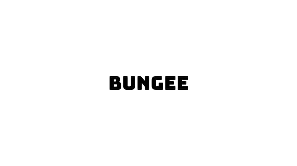 Bungee — preview 1