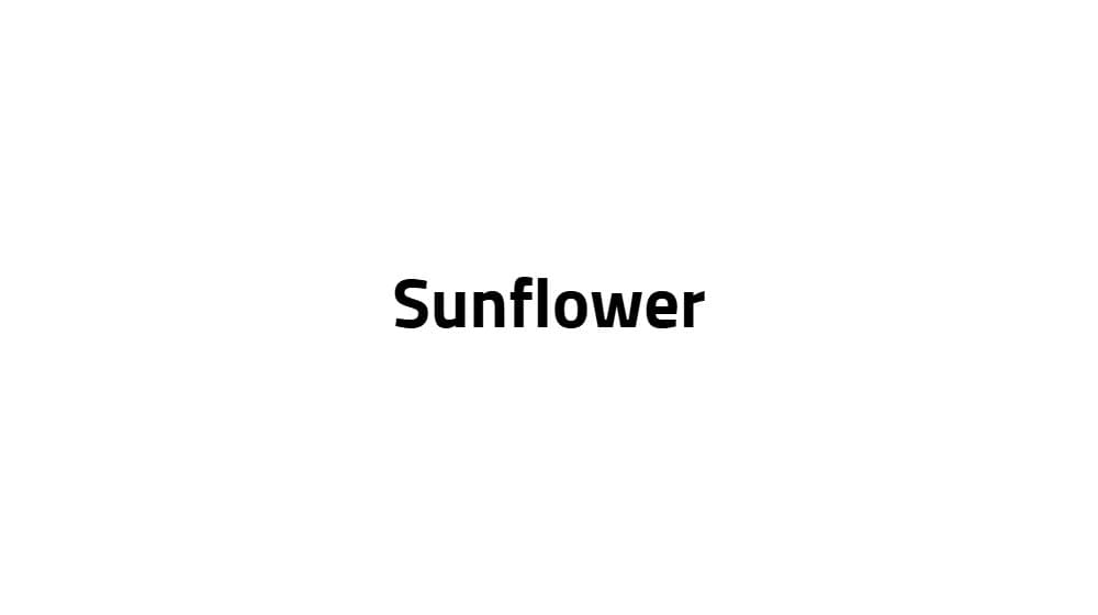 Sunflower — preview 1